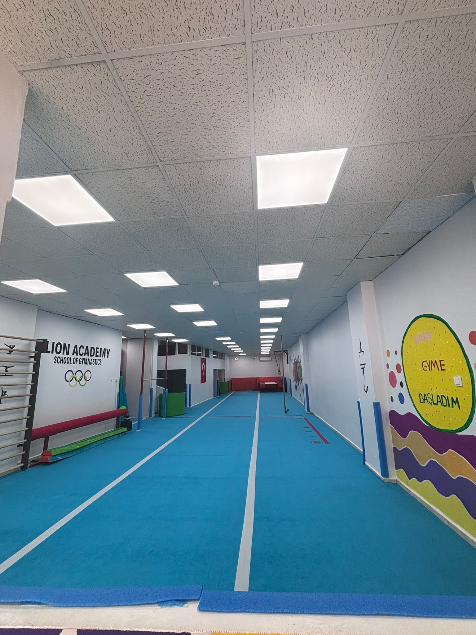 Lion Akademi Salonu