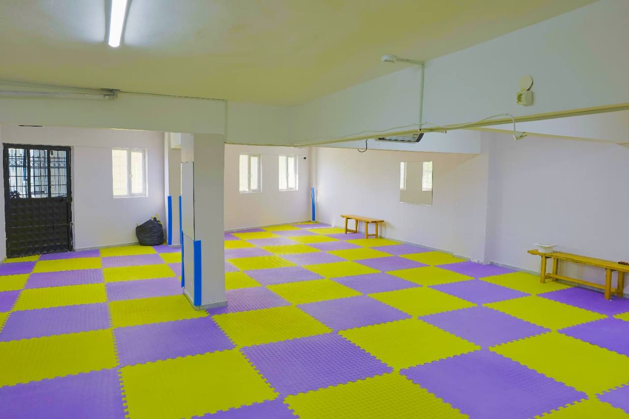 Lion Academy sarı ve mor zeminli salon - görünüm 1
