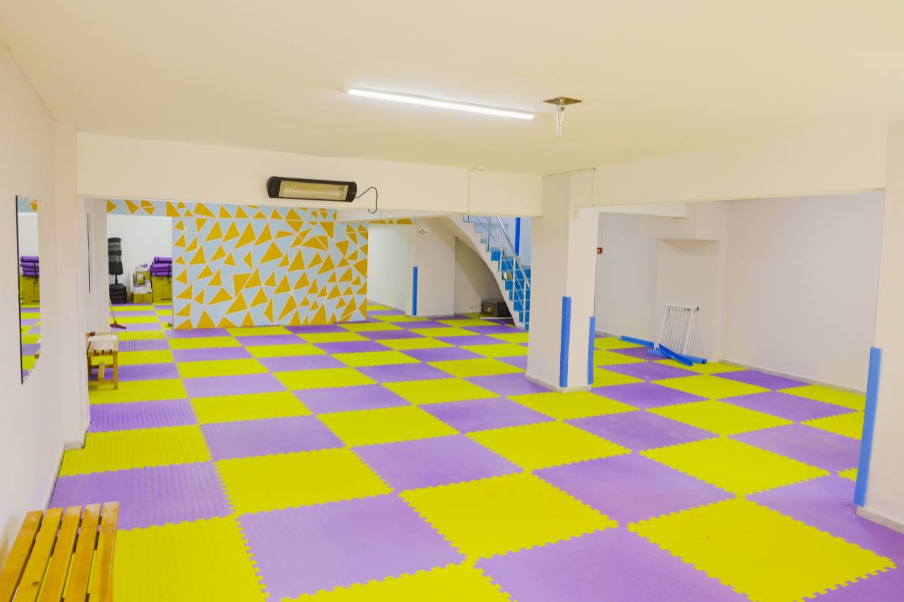Lion Academy sarı ve mor zeminli salon - görünüm 2